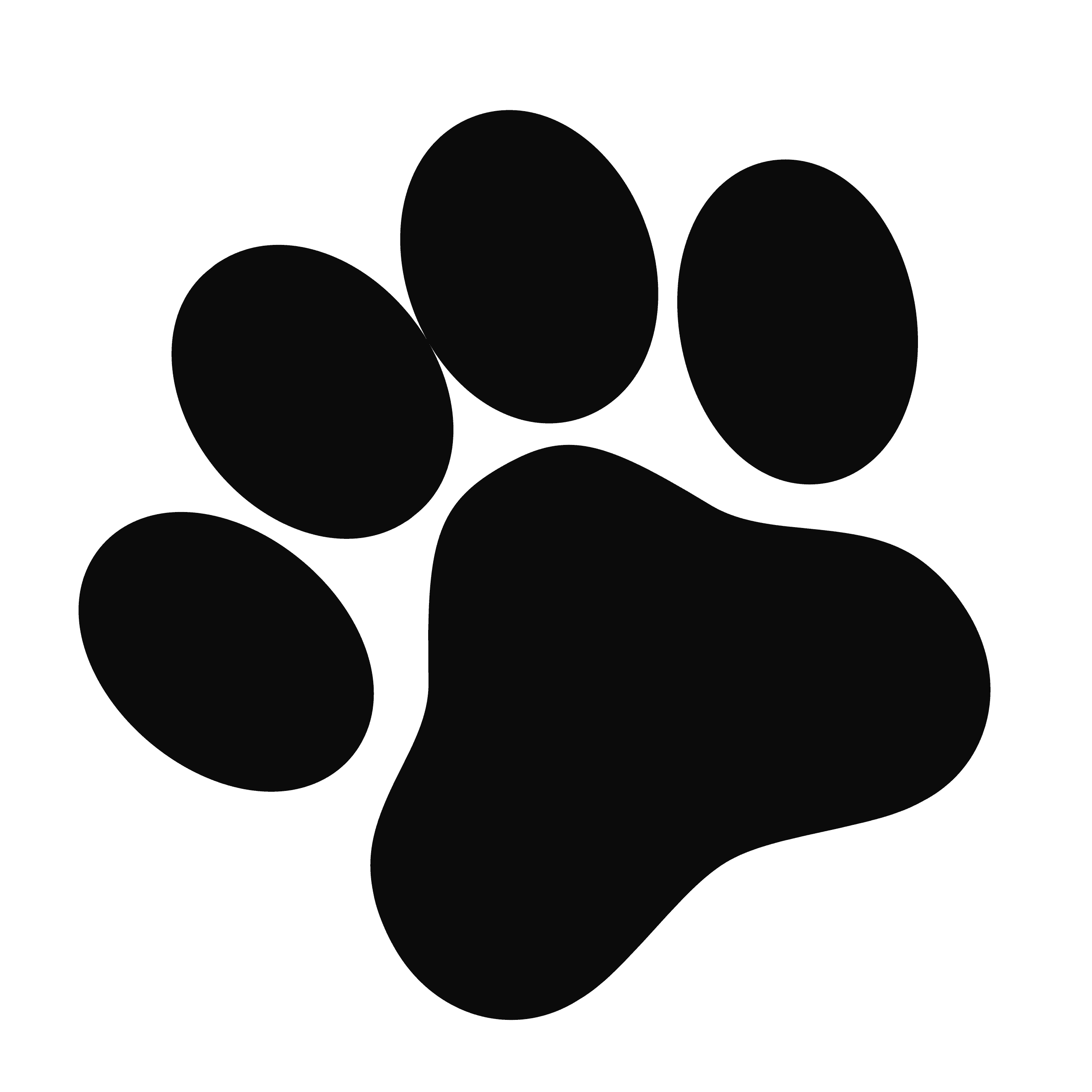 paw